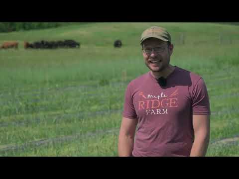 Cover Crops Between Raised Vegetable Beds | Small Horticultural Farm Resources