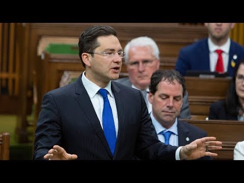 Question Period: Carbon tax and gas prices, tax evasion — June 7, 2019