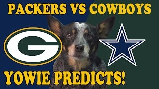 PACKERS vs COWBOYS - Dog Predicts Super Bowl Playoffs 2017