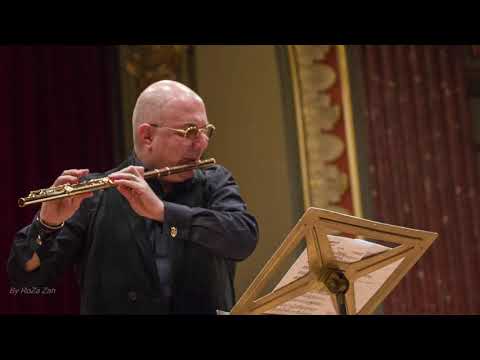 @ionbogdanstefanescu  Telemann - Fantaisie 2