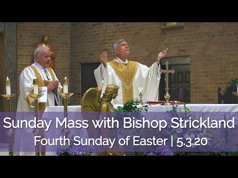 Click to Watch the 4th Sunday of Easter: Join Bishop Strickland and Deacon Keith for Sunday's Live Mass - 5.3.20 video Click to Watch the 4th Sunday of Easter: Join Bishop Strickland and Deacon Keith for Sunday's Live Mass - 5.3.20 video