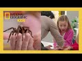 Kids REACT To REAL Bugs A Real Bug S Life S2 Natgeokids