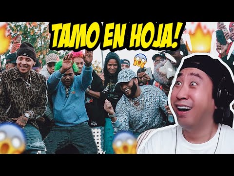 Coreano Loco reacciona a Tamo en Hoja 😂 El Alfa El Jefe, Dowba Montana, Mark B