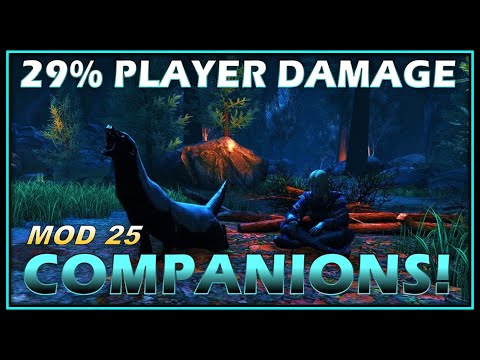 RECENT COMPANION CHANGES: Dealing 29% of Player Damage! (a lot of buffs) - Neverwinter Preview M25