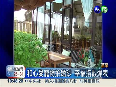 牧場變寵物餐廳 狗狗主人玩瘋了!