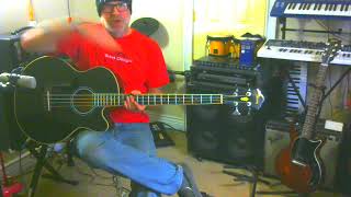 Video thumbnail for Ibanez AEB5e Acoustic-Electric Bass Review by Greg Schiller