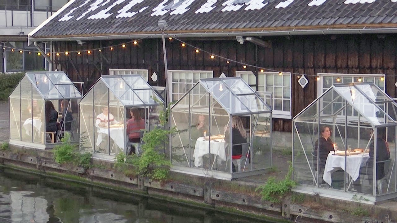 Watch Dutch restaurant trials glasshouses for diners amid coronavirus