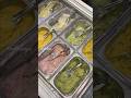 Variety Of Shrikhand Matho Gujarat Baroda Shrikhand Streetfood Yummy Trending Ytshorts Food