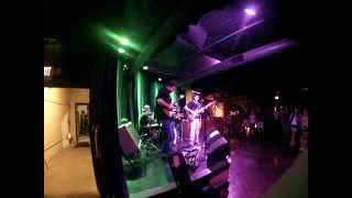 The Surgical Party- Mary had a little lamb (Cover)