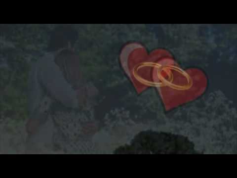 Wolf-Dieter Herrmann "Wenn die Glocken hell erklingen"