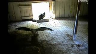 Thanks for the Memories, Sweet Bits! :) ... and it's not over yet! ;) 8-23-12