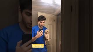 Watch this Puppy Grow! video
