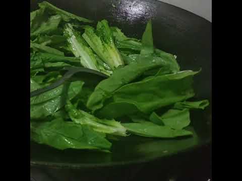 download lagu mp3 mp4 Indian Lettuce, download lagu Indian Lettuce gratis, unduh video klip Indian Lettuce