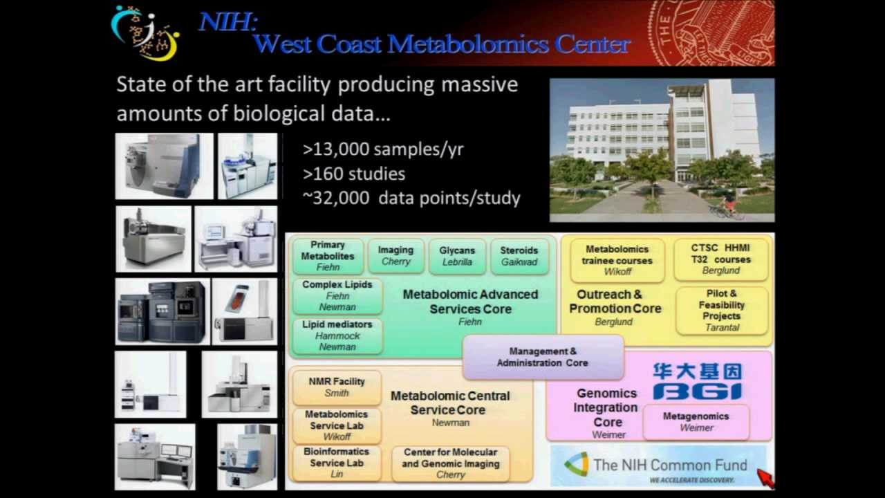 Network Mapping  by Dmitry Grapov 2013