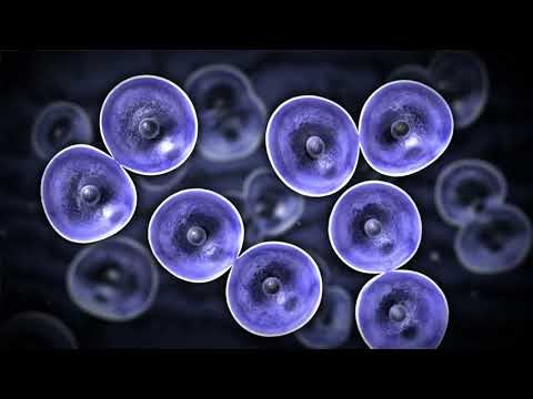YouTube video about: How do self cleaning buttons work?