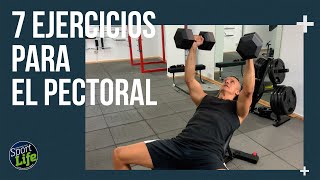 ✅ Los 7 mejores ejercicios para un PECTORAL GRANDE ✅ | SPORT LIFE