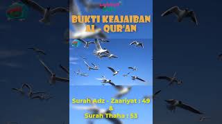 Download lagu Bukti Keajaiban Al Qur'an Penciptaan Berpasang Pasangan mp3 Download lagu Bukti Keajaiban Al Qur'an Penciptaan Berpasang Pasangan mp3