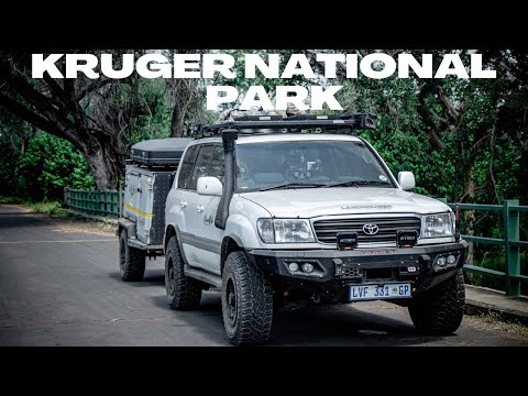 SATARA REST CAMP | KRUGER NATIONAL PARK | Episode 2