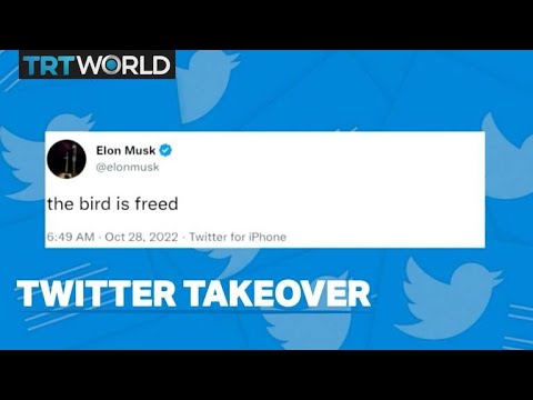 Elon Musk completes $44B Twitter takeover and fires top executives