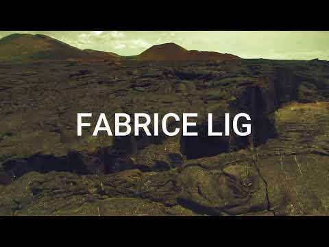 Fabrice Lig - Children of Galapagos (sample) - From Evolutionism LP