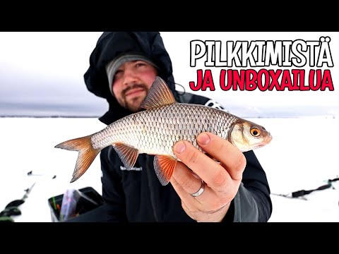 PILKILLÄ KUIVASMERELLÄ - UNBOXATAAN ISO KASA JIGEJÄ