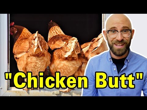 Who First Got the Idea to Answer the Question - Guess What? with Chicken Butt!
