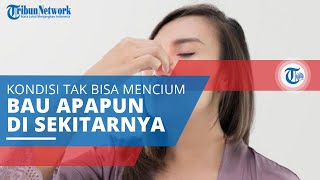 Anosmia, Kondisi Dimana Seseorang Tidak Dapat Menghirup atau Mencium Bau Apapun