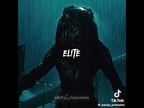 From Alien vs Predator to Alien vs Predator: requiem