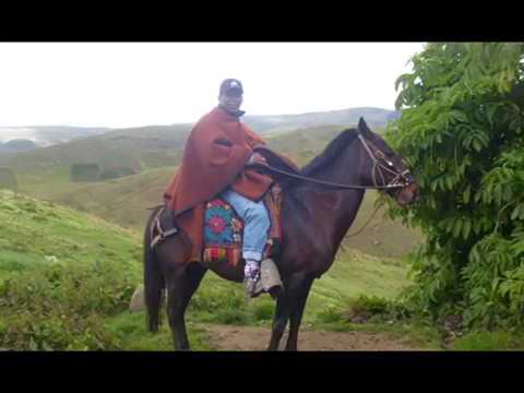 El CABALLO NEGRO-TROVADOR ANDINO