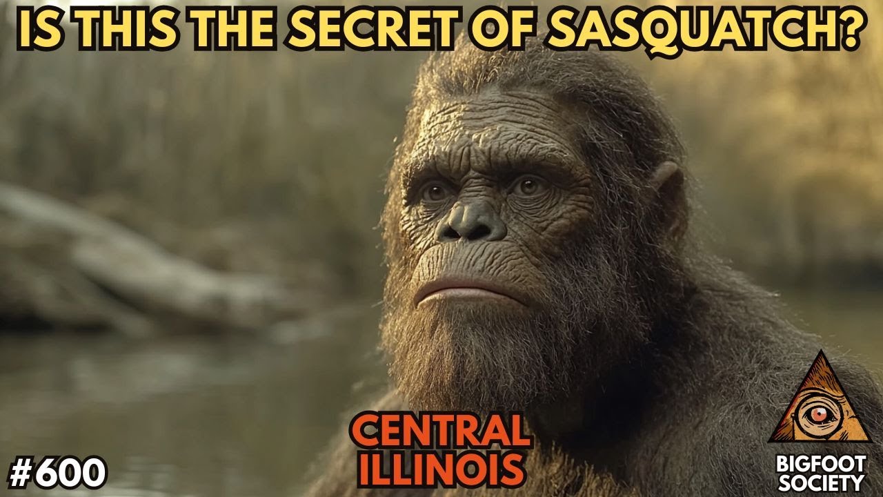 Higher Frequency Sasquatch | Central Illinois