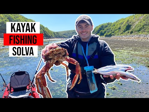 Pollock and Mackerel Madness!! - Kayak Fishing UK - Solva Pembrokeshire
