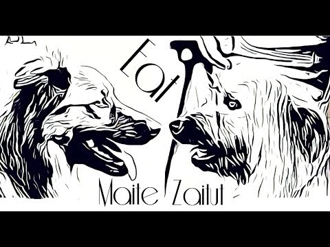 Estandar Euskal Artzain Txakurra