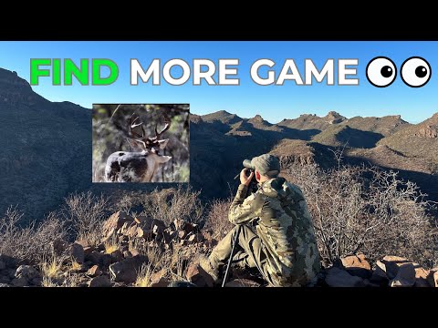 Find MORE Game - Glassing TIPS