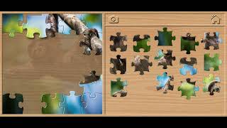 🦥 Sloth Jigsaw Puzzle - Animals Puzzles for Kids Walkthrough