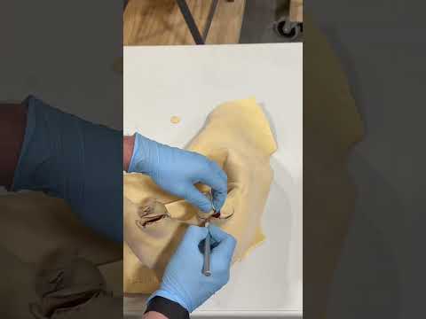 Giving Uncle Klunk A New Mask #showbizpizza #rockafireexplosion #animatronic #animatronic #fnaf