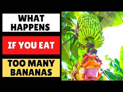 What Happens If You Eat Too Many Bananas
