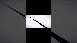 1次元