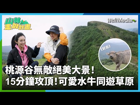 無敵絕美大景!步行15分鐘直達桃源谷!跟超可愛水牛同遊草原,眺望太平洋龜山島美翻了【山林走跳計畫】EP1