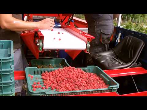 Raspberry harvester JAREK 5 new edition