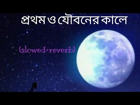 প্রথম ও যৌবনের কালে যেদিন তোমায় দেখেছি | prothomo jiboner kale unplugged bengali lofi slowed reverb