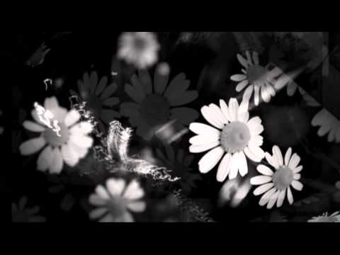 Dino Merlin i Toni Cetinski   Drama