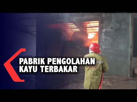 Pabrik Pengolahan Kayu Terbakar