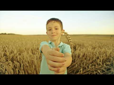 Renewable Energy Elvan Group