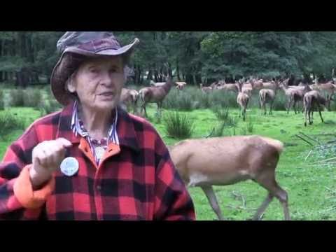 Geschichte des Wildparks Eekholt