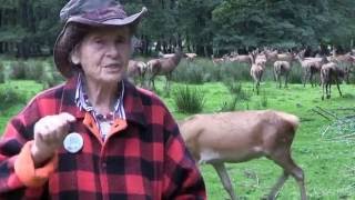 Geschichte des Wildparks Eekholt