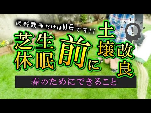 秋の肥料で芝生が元気になります トピックス
