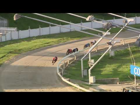 2021 SUSSEX CUP - HEAT 3 - T1 DROOPYS ADDITION