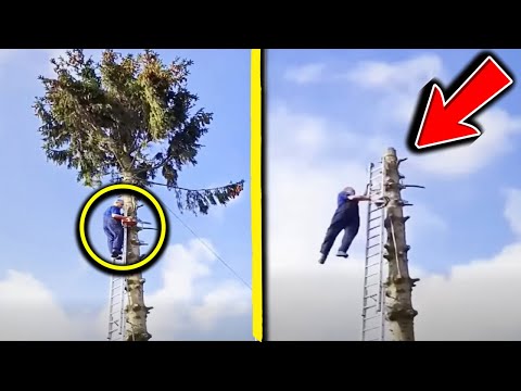 Pekerja Melakukan SATU KESALAHAN Saat Menggunakan Gergaji Mesin & Menanggung Akibatnya | Kecelaka...