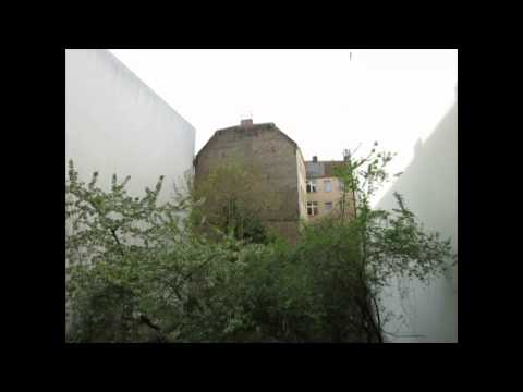 Lama L.A.  -  Der Hund und der Mountain