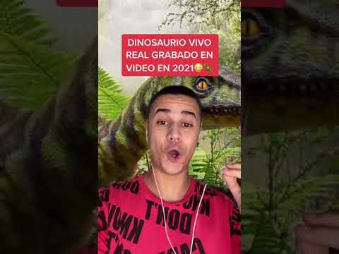 Real Live Dinosaur Recorded On Video #shorts